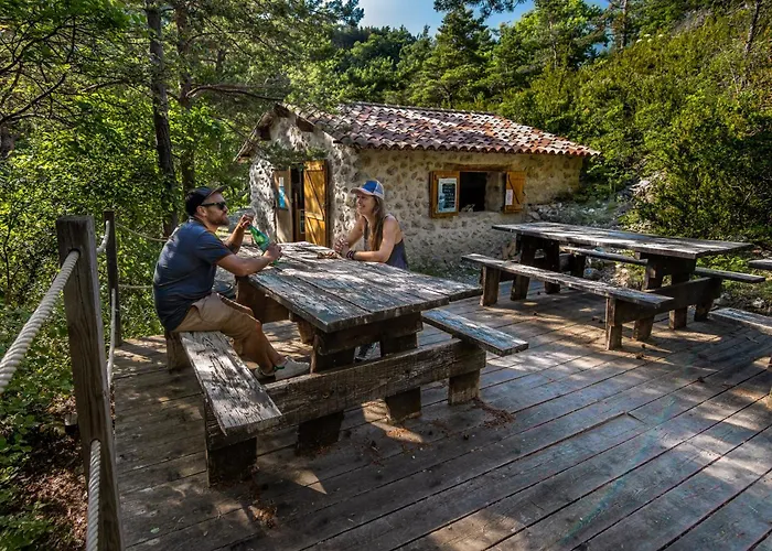 Adventure Forest