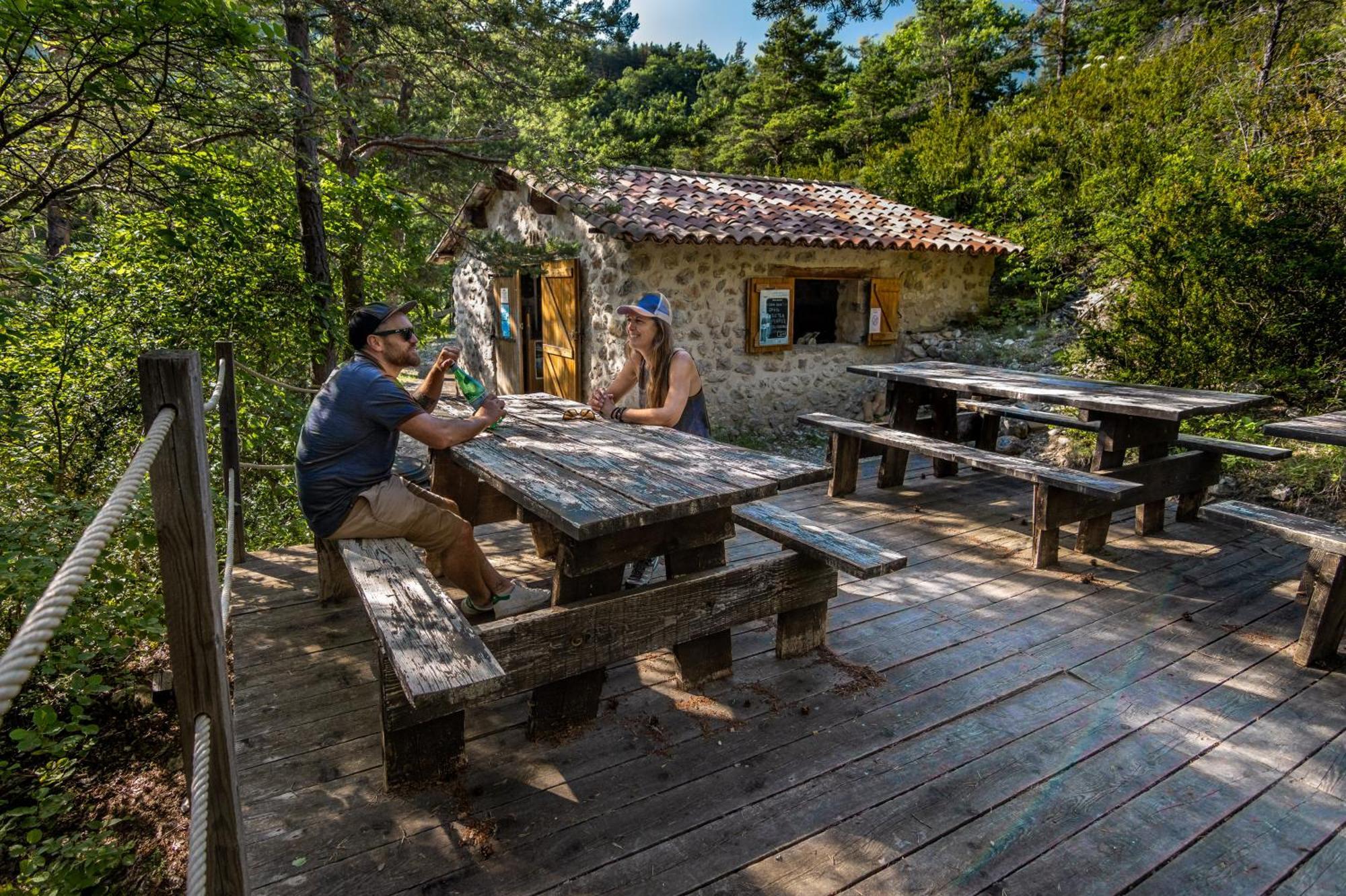 Adventure Forest