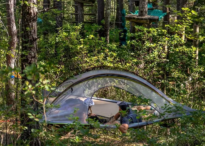 Adventure Forest