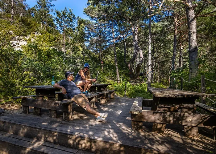 Adventure Forest