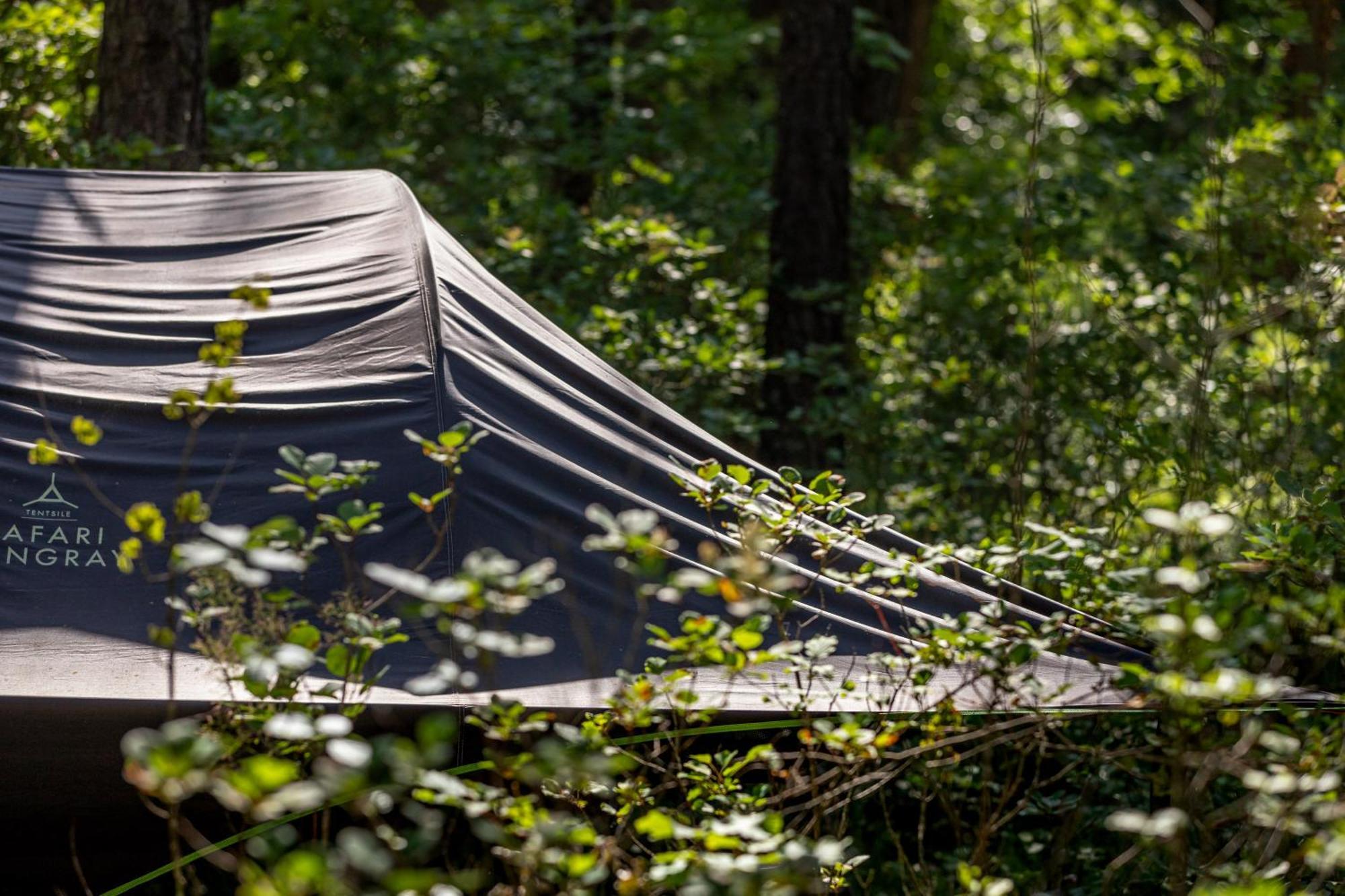 Luxuszelt Adventure Forest